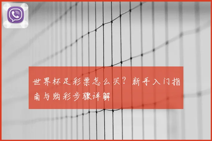 世界杯足彩票怎么买？新手入门指南与购彩步骤详解